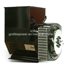 China Supplier Good Price 160kw/200kVA Brushless Alternator (JDG274H)